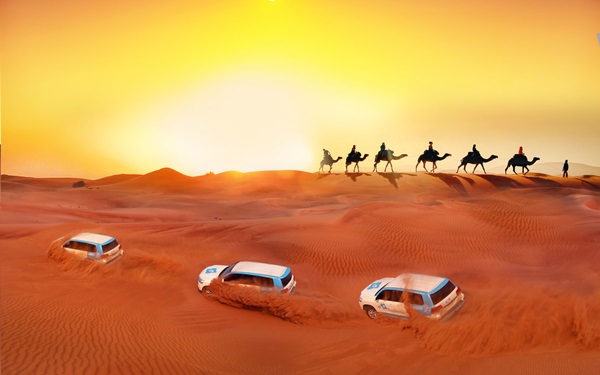 Desert Safari