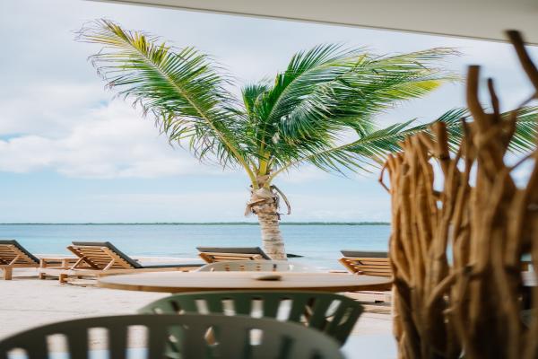 Most Beautiful Caribbean Islands to Visit in 2025